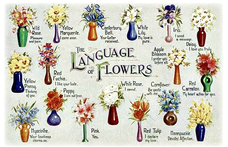 Language of Flowers
